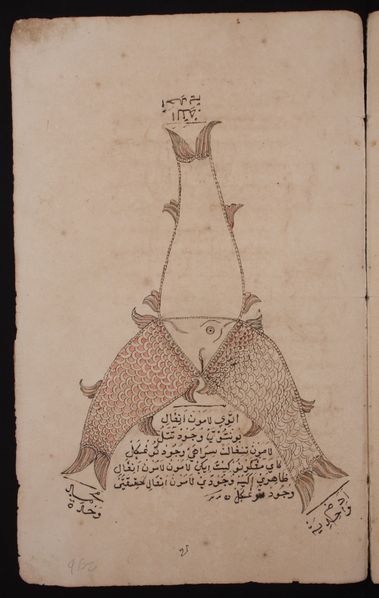 File:Three fish one head.jpg